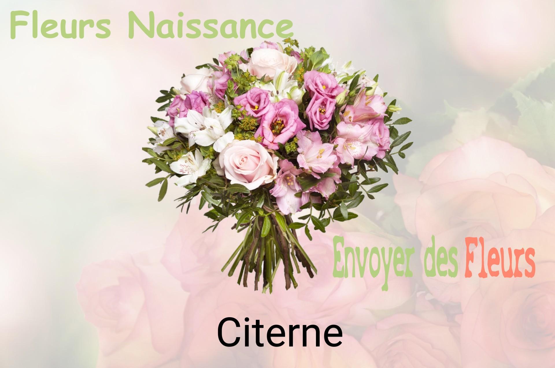 Bouquet de fleurs de naissance livré à Citerne
